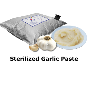hsesp 4001 sterilized aromatic ginger paste