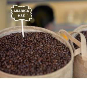 arabika coffee beans roasted