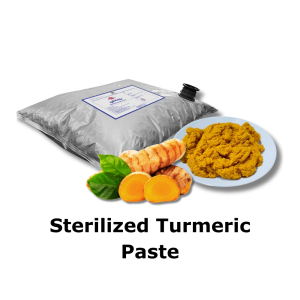 hsesp 4001 sterilized aromatic ginger paste