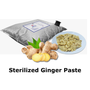 hsesp 4001 sterilized aromatic ginger paste
