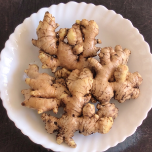 hsesp 7009 ginger